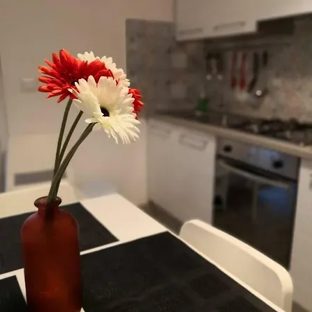 Trinita Centre - Locazione Turistica Affitto Breve Apartment *
